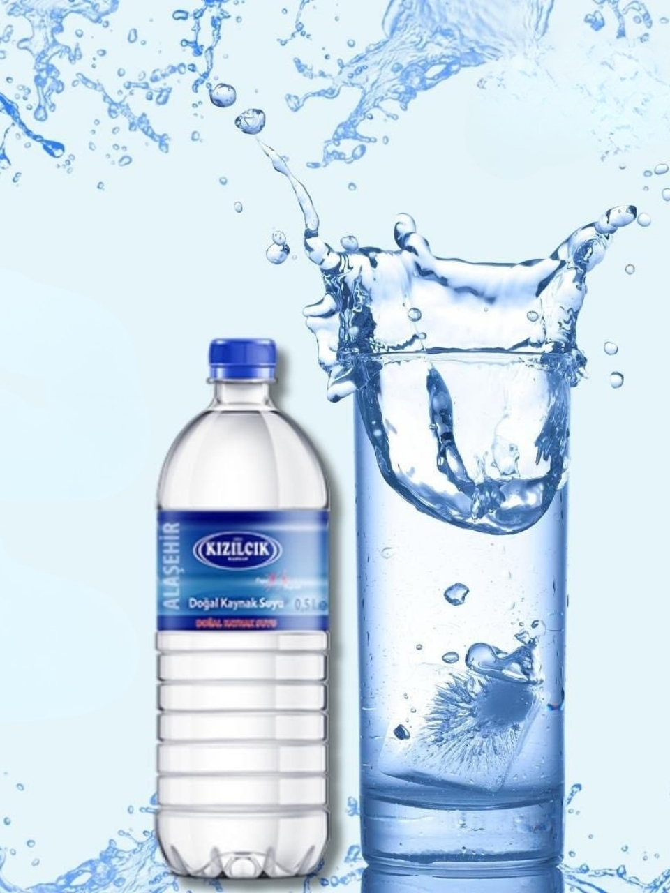 0,5 Litre  Kızılcık Madran Su